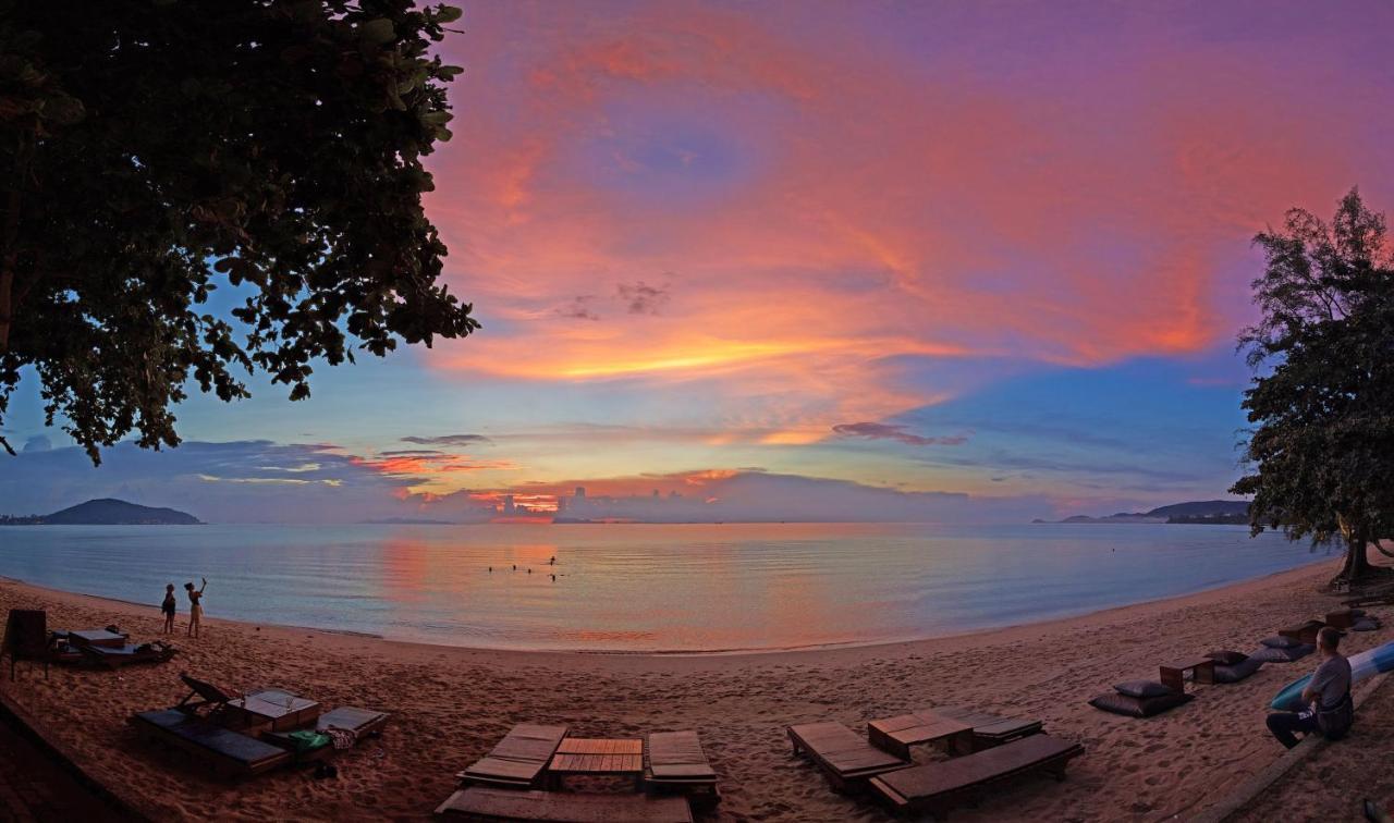 Satva Samui Yoga And Wellness Resort Amphoe Koksamui Luaran gambar
